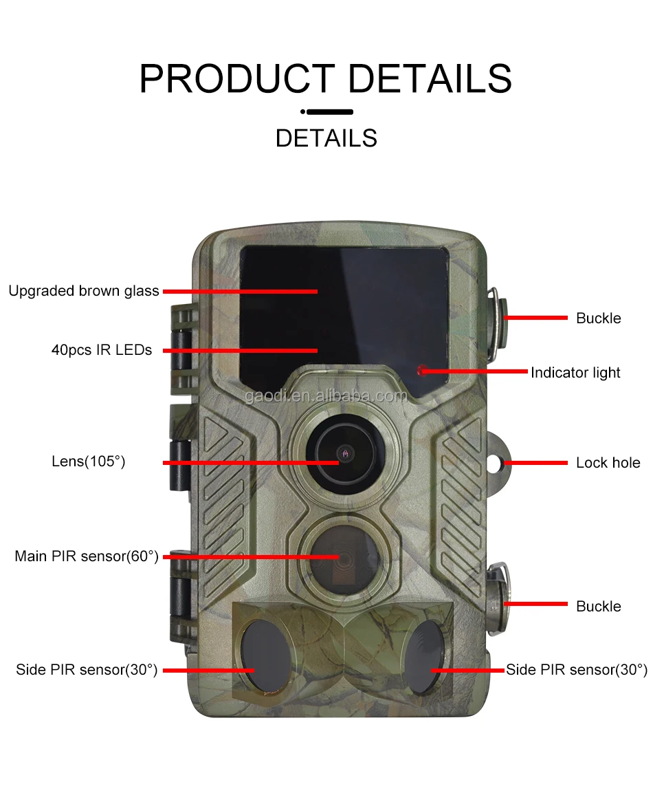 H8810727_10.jpg