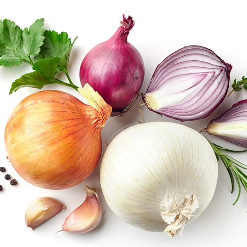 high quality new crop Fresh Onion low Price