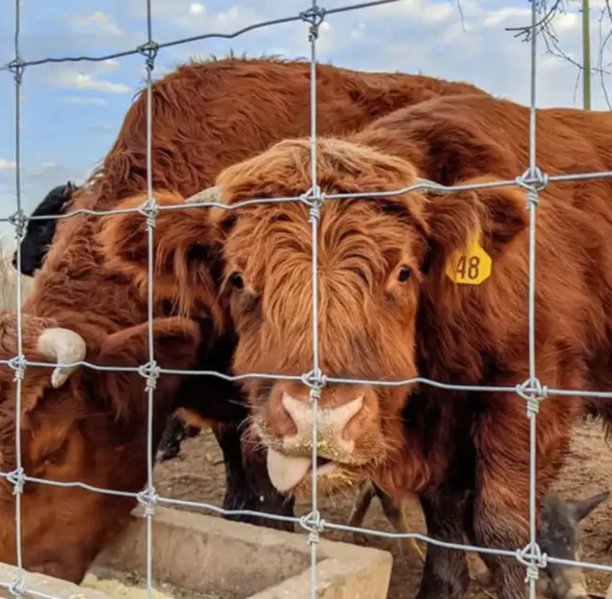 hot sales heavy-zinc coated galvanized steel  Farm Filed Fence Cattle Sheep Deer Farm Fence