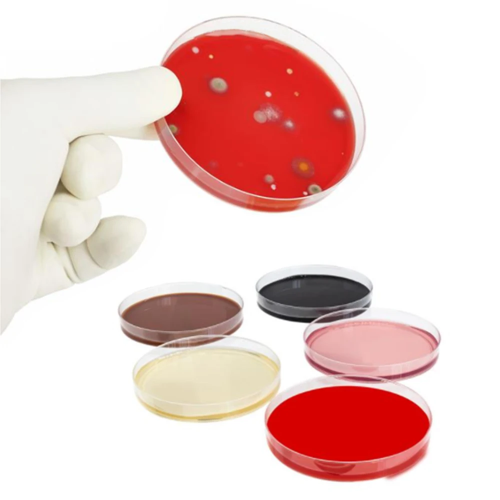 Laboratory Transparent Plastic Sterile 60mm 90mm 15cm Microbial Petri Dish With Lid