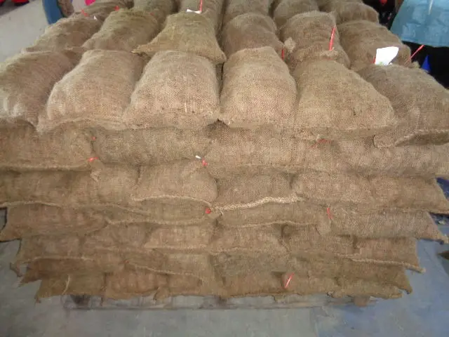 Best Chinese New Crop fresh organic Bulk Fresh Chestnut supplier chinese food wholesale frozen raw food