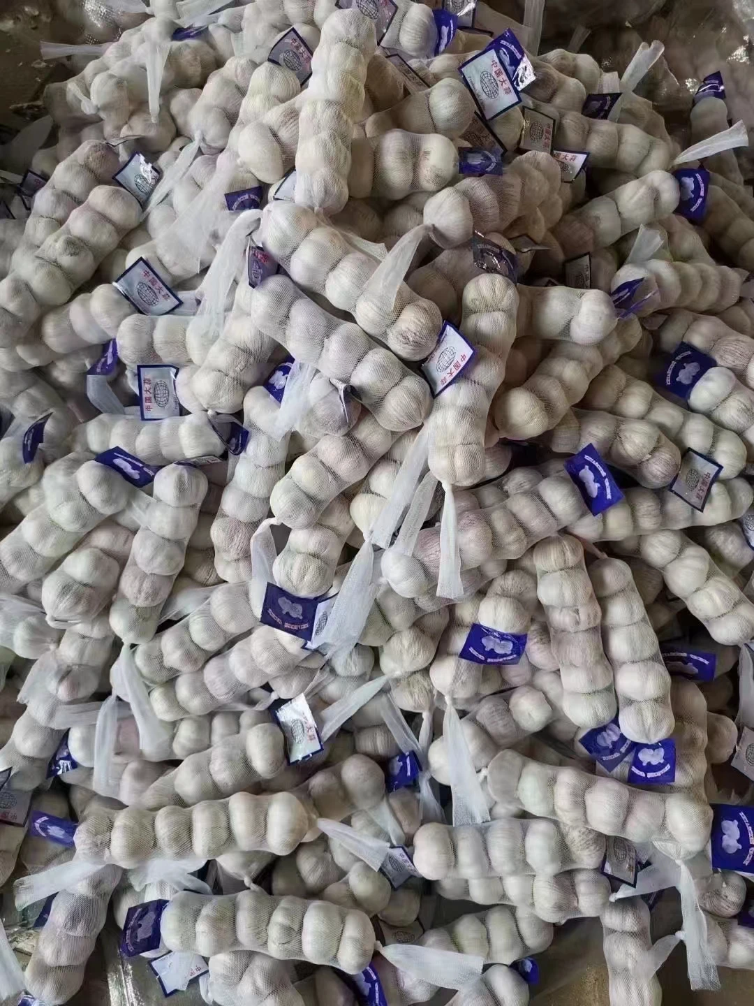 China factory custom MINI mesh bag for egg ginger garlic fruit vegetable dried fruit and toy