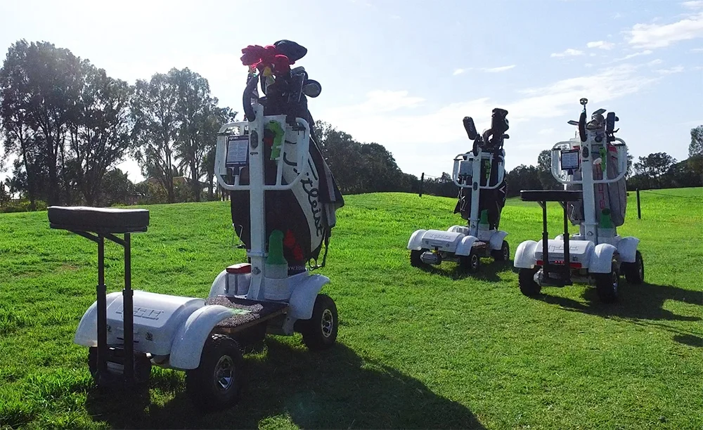 4 wheels 2000W Electric Golf Cart