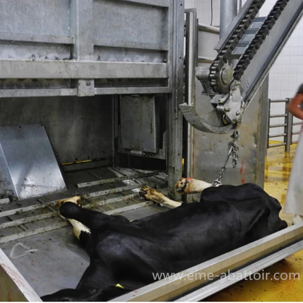 Cow Slaughter Line Abattoir Machinery for Complete Production Cattle Bovine Slaughterhouse Equipment for Sale Silver Provided