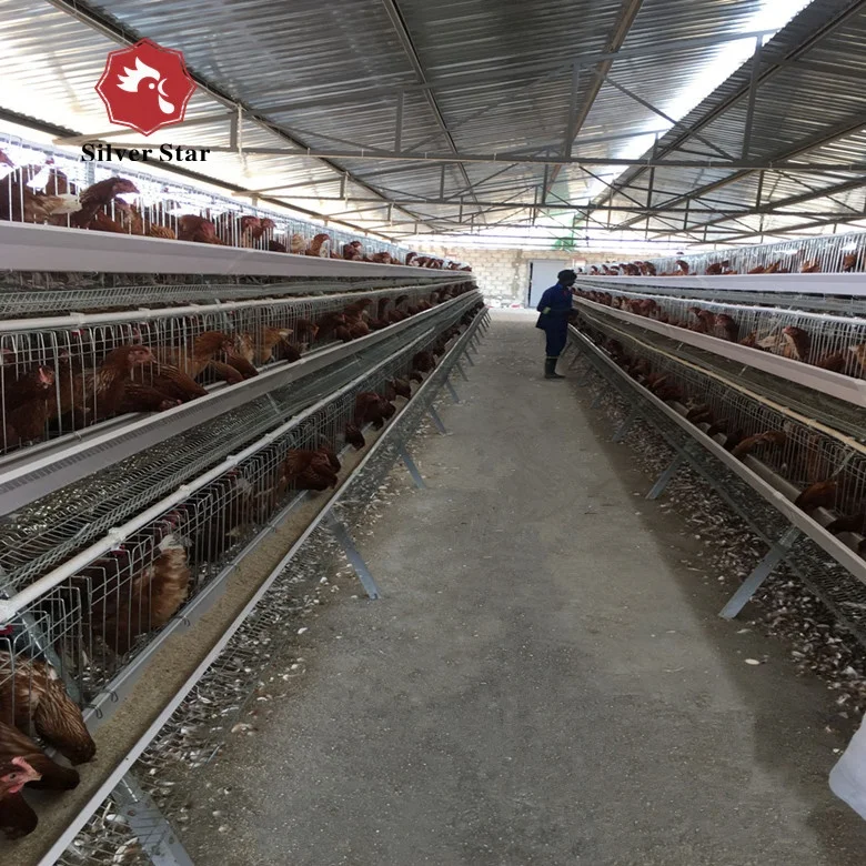 Silver Star high quality chicken cages layer farm poultry battery chicken cage equipment.jpg