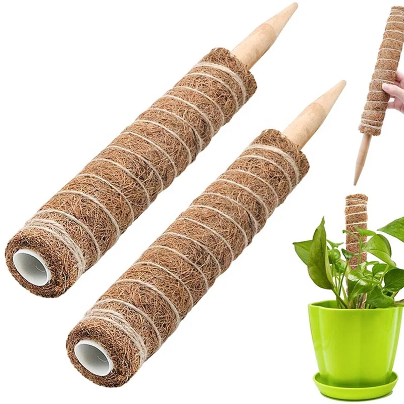 Gardening Planting Coconut tree stem support for indoor plants pots moss pole