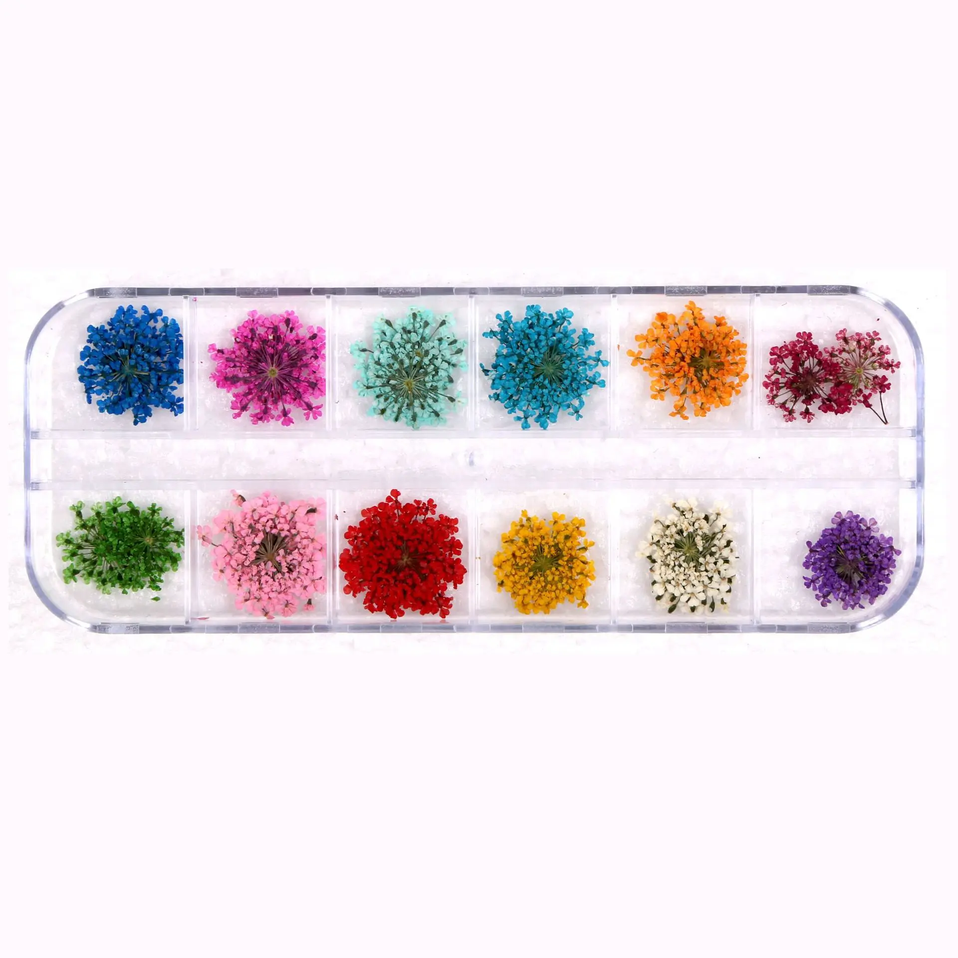 12pcs/box 3d diy dried flowers nail art decorations real dried flower stickers manicure charms designs for nails accessories