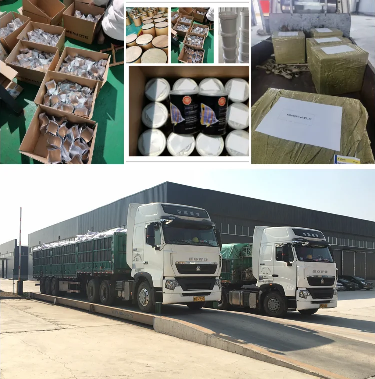 brine shrimp HR 95% 90% artemia cysts for tropical fish catfis Discus fish prawns and fish juveniles food