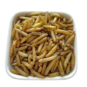 BSF сухой корм для кур с высоким содержанием белка чистый натуральный сушеный черный солдат муха личинки