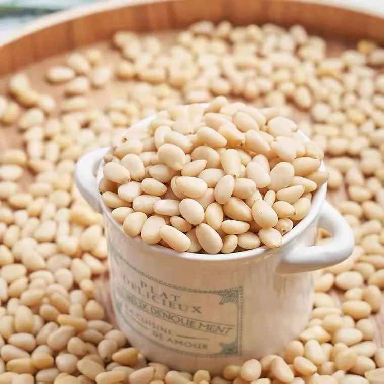 Pine Nuts Kernel China Processing Plant Directly Supplying