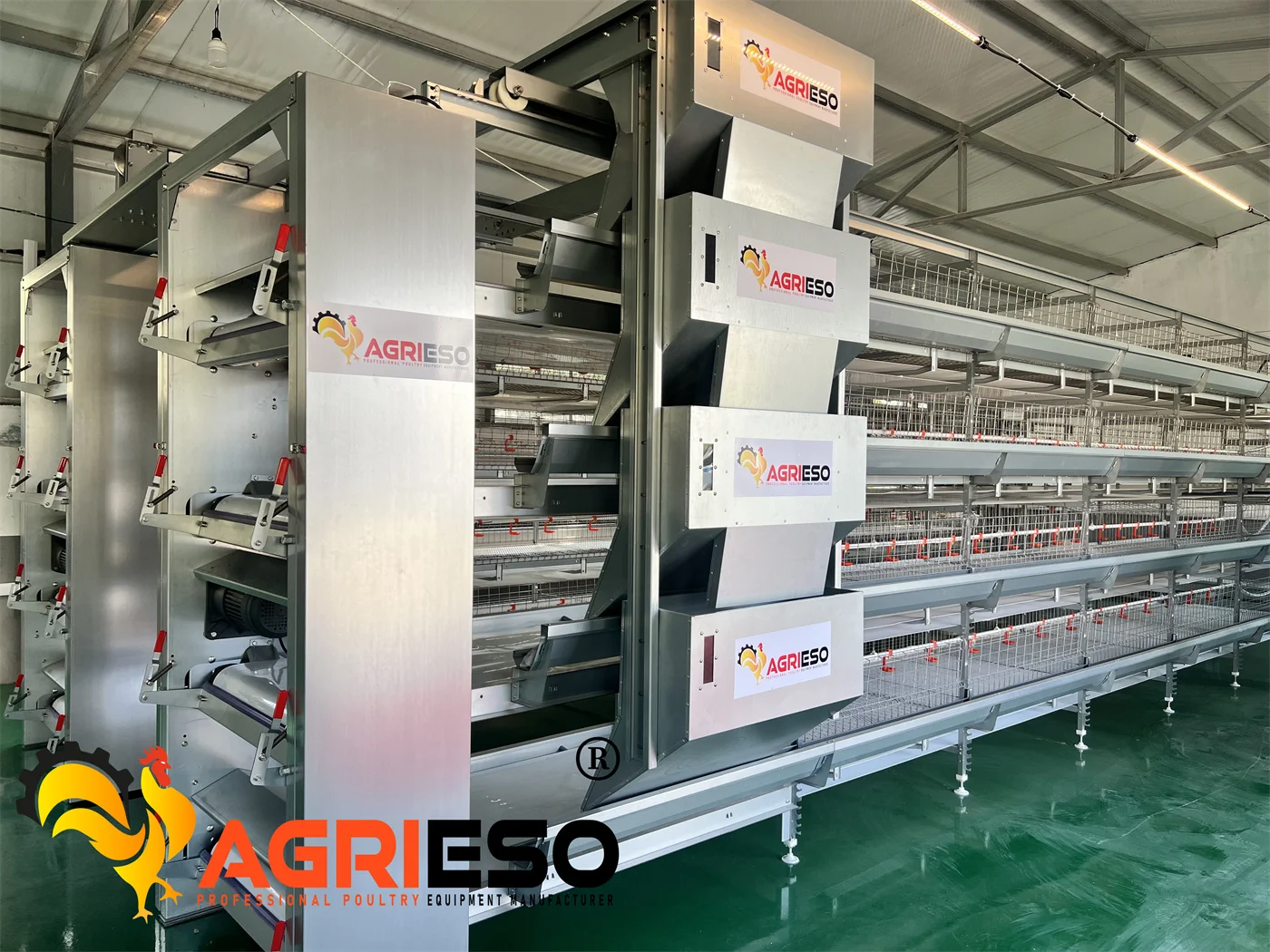 Agrieso Chicken Laying Battery Cages Hot Dip Galvanised 3/4 Tiers Chicken h Type Layer Cage Manure Egg Collection System