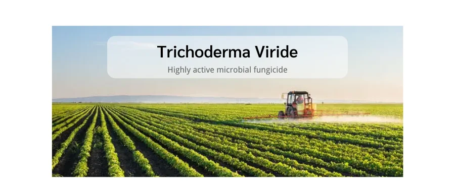 Plant EDTA Fe 10% Agricultural fertilizers used for calcium supplement organic fertilizer