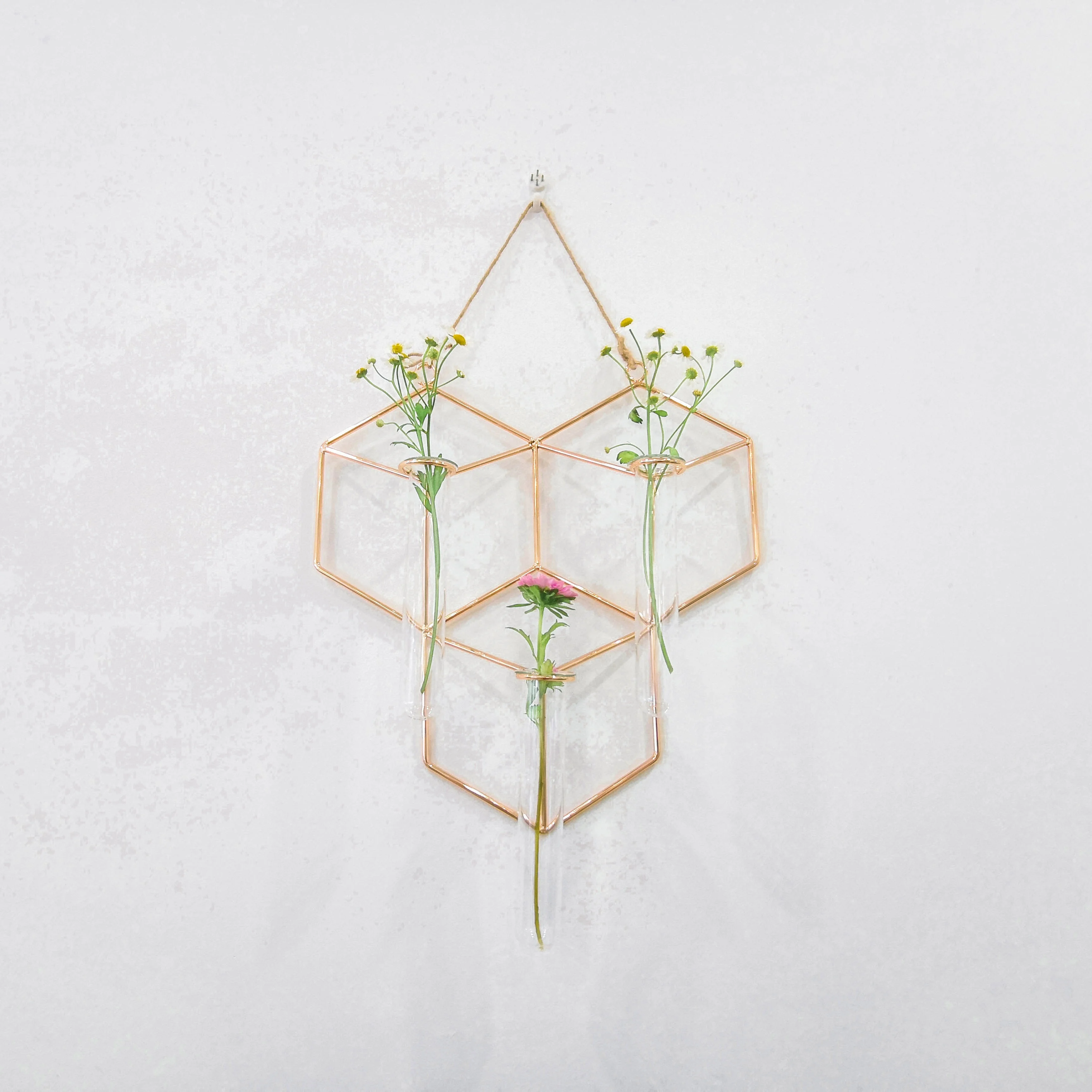 Hanging golden metal frame glass test tube flower hydroponic wall vase wedding