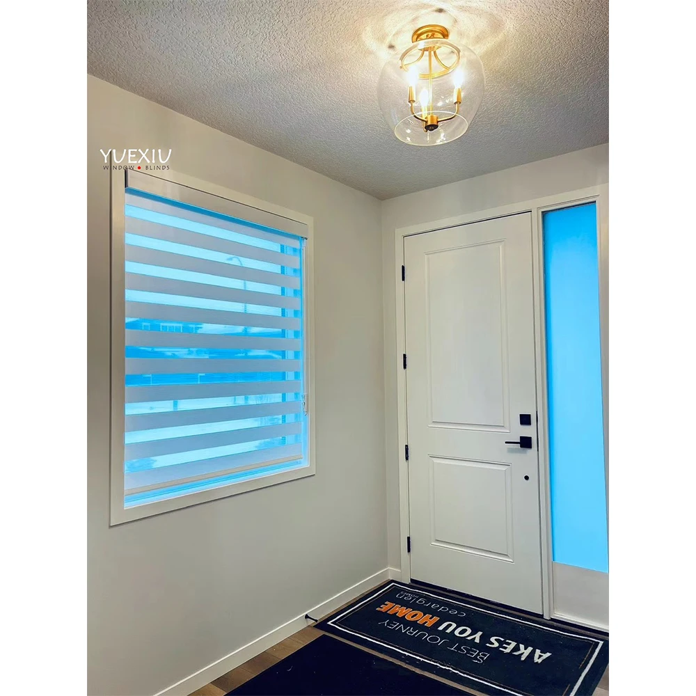 Factory Supply High Quality Roller Blinds Installation Manual Curtains Screen For Living Room Window Zebra Blinds