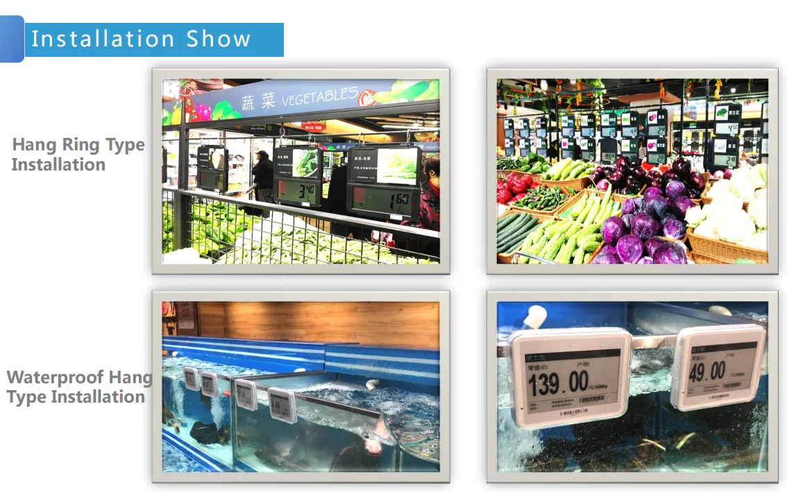 Hot Sale 42pcs 4.2 Inch Supermarket Digital Price tag ESL+1 base station equipment+1SDK Software