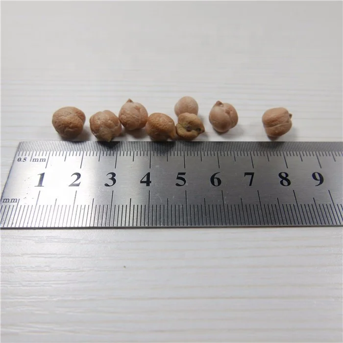 
Hot sale CHICKPEAS with reasonable price and fast delivery 