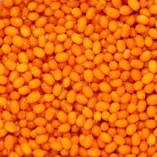 FS-2223 дикий organiccultivated выращивания iqf Замороженные ягоды облепихи