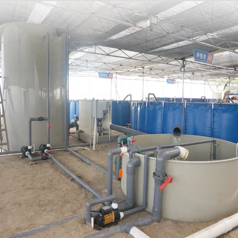 RAS Water Treatment Equipment Set Hatching Carp Fish Farming Tilapia Recirculating Aquaculture System
