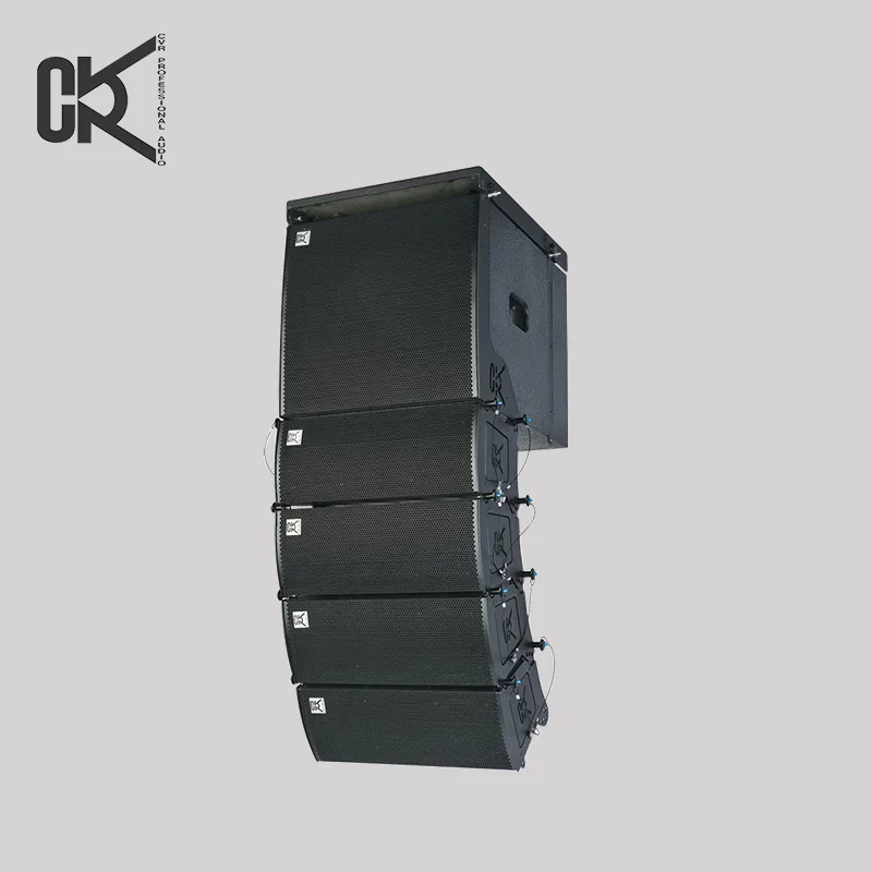 Best sell speaker + dual 5 inch line array + active line array