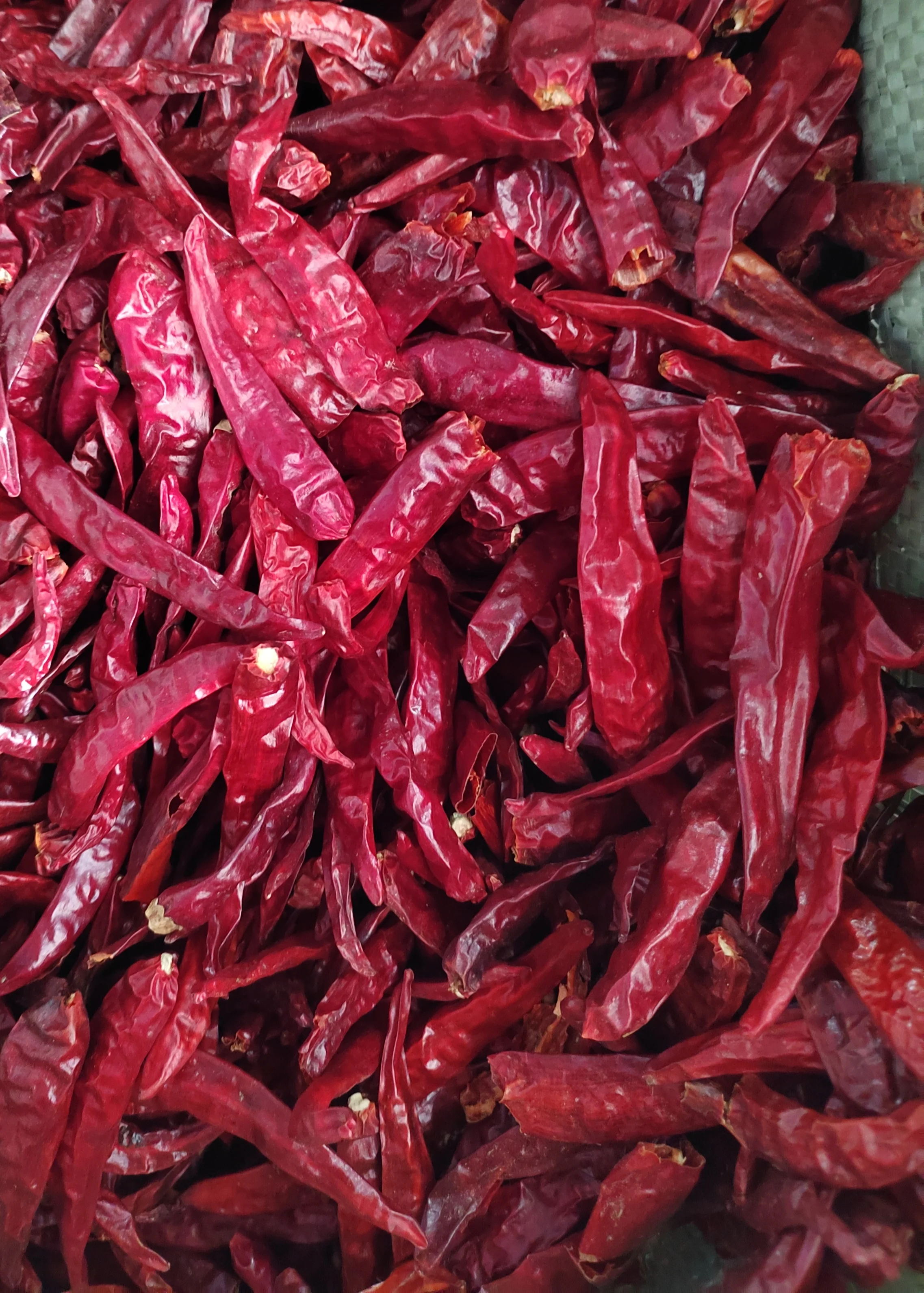 Dried Red Chili Spicy Food Variety in Bulk Packaging for Adding Flavor to Your Dishes