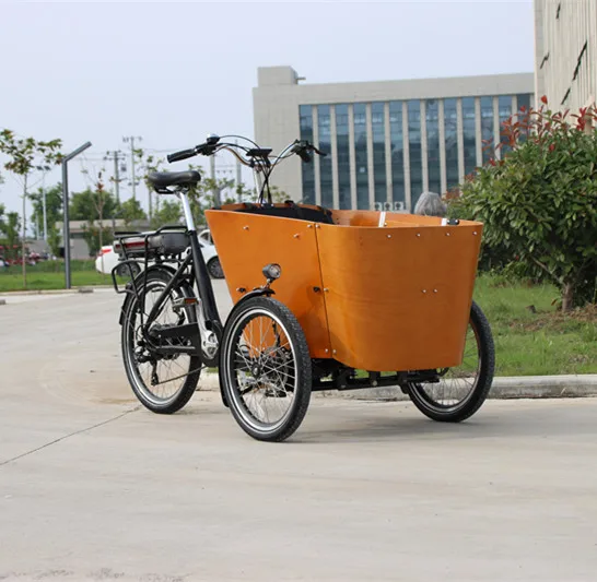 Delivery Ebike Electric Pet Camping Cargo Bike With Rear Motor