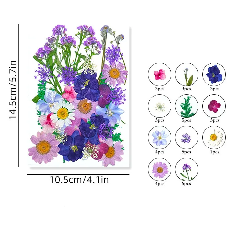 Pressed Preserved Dry Natural Plants Petals Dry Leaves Specimen Dried Flower for Candle Nails Resin