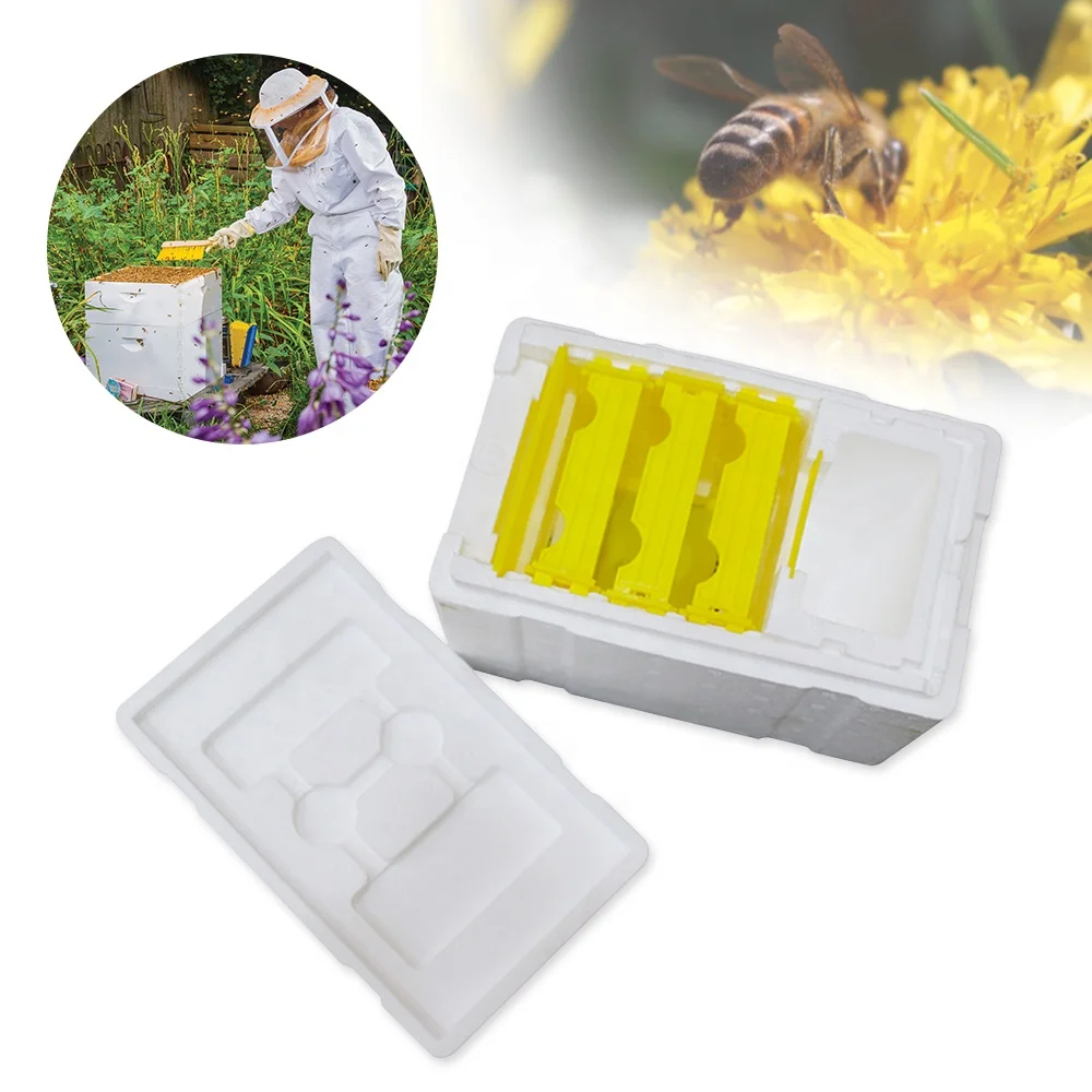 Plastic queen rearing beekeeping bee hive tool nuc bee box