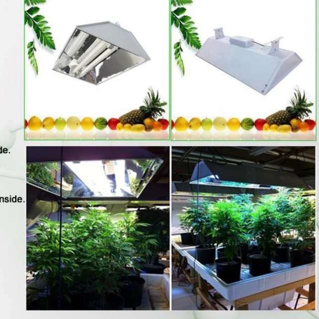 Induction growing light 400w no flare high power factor above 0.99 comfirtable 100000h longlife span 5year warranty