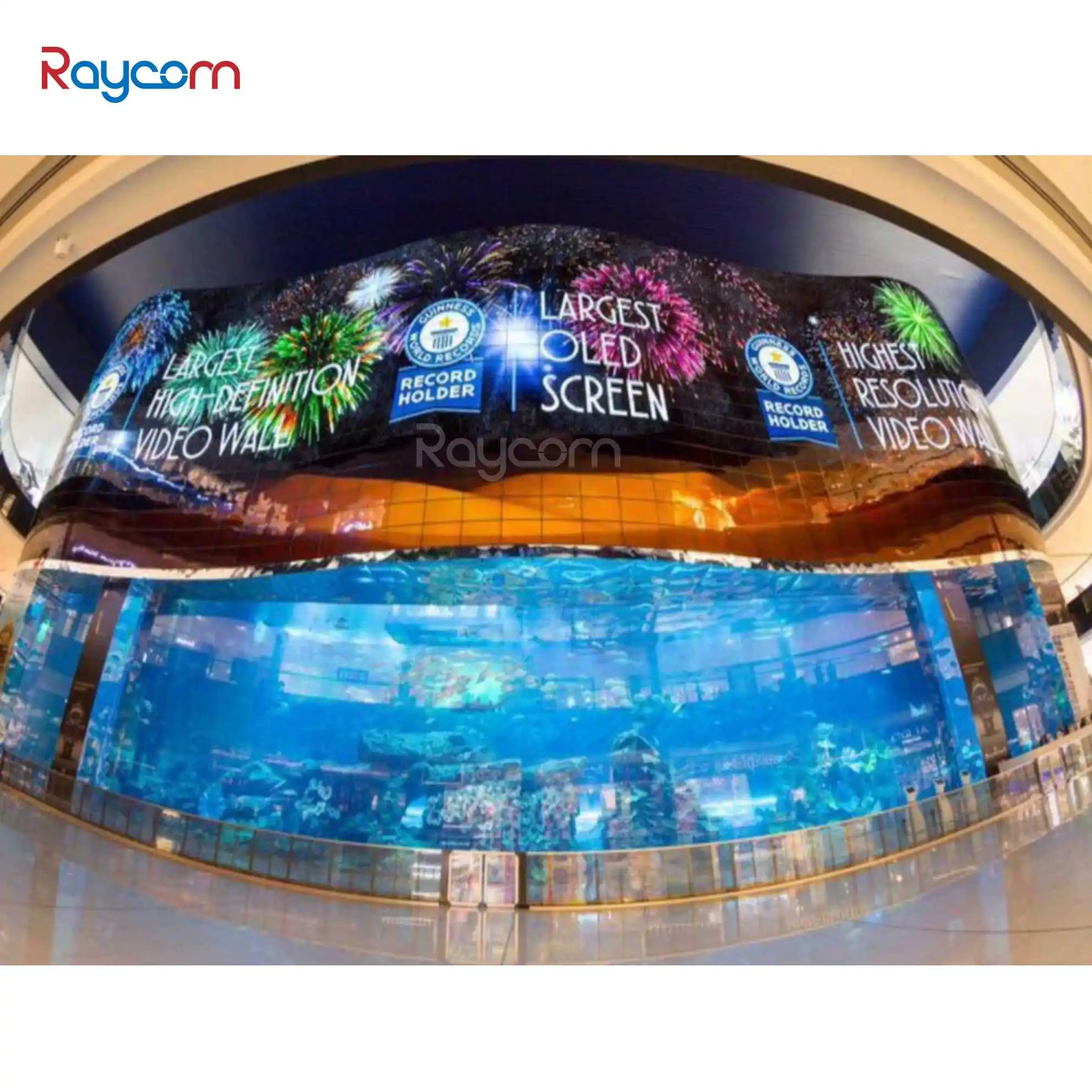 Raycom Commercial Advertising Machine 32 45 50 55 Inch OLED LED Display Screen Transparent Outdoor Use with SDK Function OEM