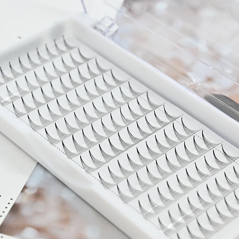 High Quality 3d 4d 5d 6d 7d 8d 9d 10d 0.07 D Curl Korean Pbt Wholesale OEM Eyelash Dark Black Premade Volume Lash Extensions