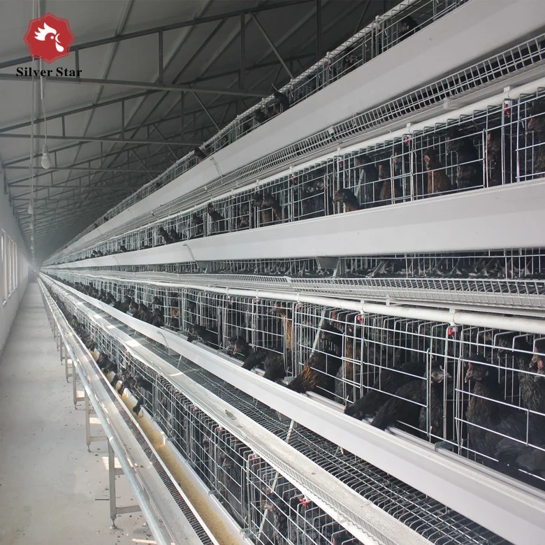 Cheap Chicken Layer Cage Price/Egg Laying Hens Cage/Chicken Cage For Sale
