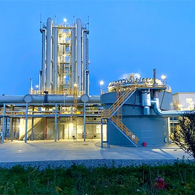 Новая технология производства метана 25 кВА простой процесс Psa биогаз комплект для дома