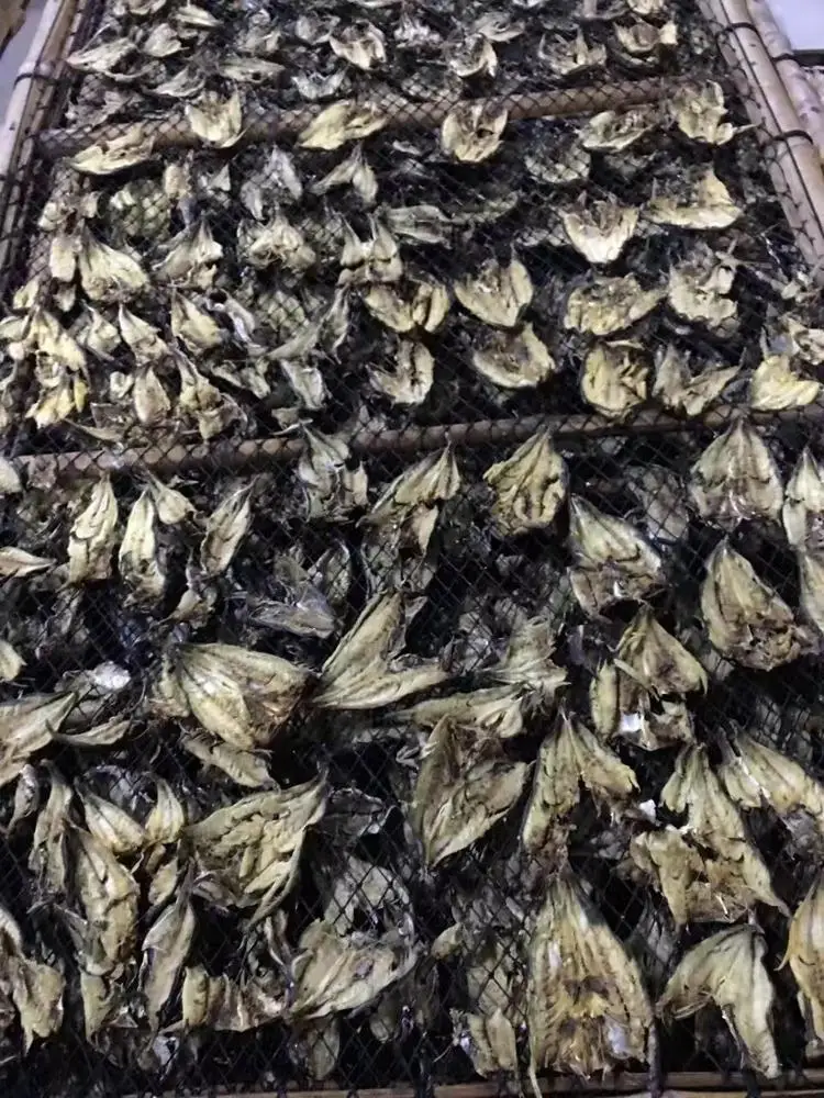 Widely Used Cabinet Tray Drying Oven for Food/ Fish/ Meat/ Flower/Vegetable secador/wood dryer machine