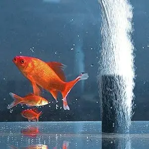 
Electromagnetic Commercial Air Pump 1110GPH 50W 8 Outlets 110V for Fish Tank Aquaponics and Hydroponic Systems by VIVOHOME 