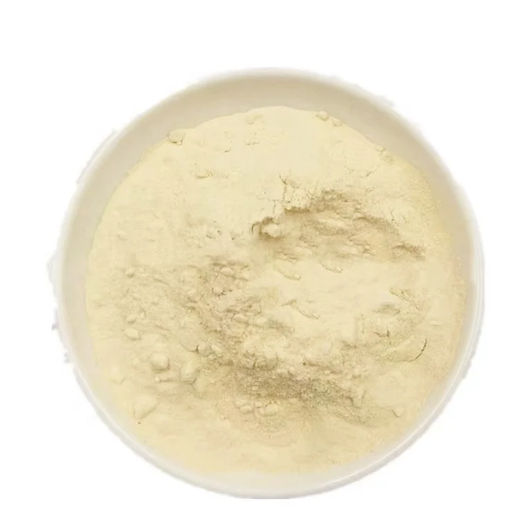 Professional Manufacturer Fruit Powder Freeze Dried High Quality Freeze Dried Apple Powder