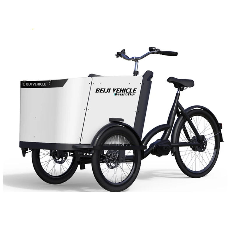 Best Electric Cargo Bike of China used family