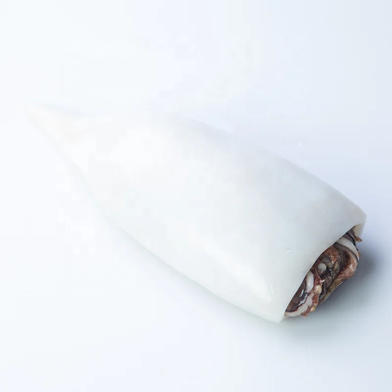 quality guarantee Cleaned Seafood Frozen T+T SQUID TUBE