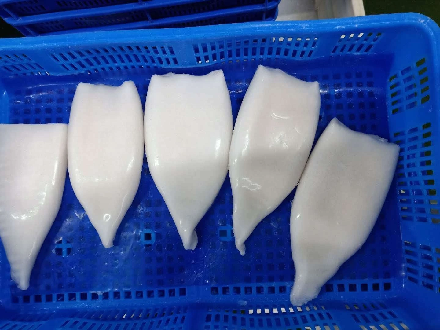 2021 Hot Sale Sea Frozen Squid Tube Giant Squid All Size