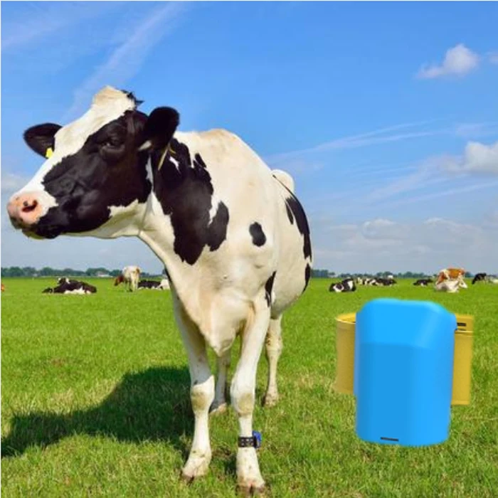 dairy farming livestock monitoring system with  cow leg sensor for heat detection rest detection and activity detection