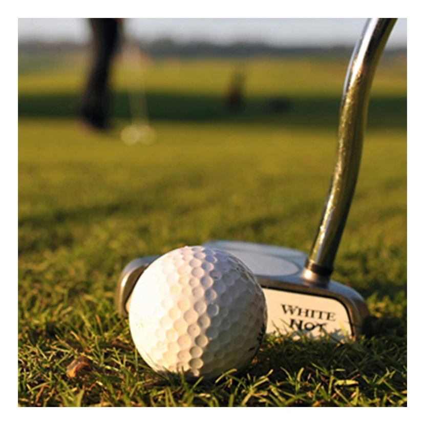 Golf Warranty Service  - 2-4 Years