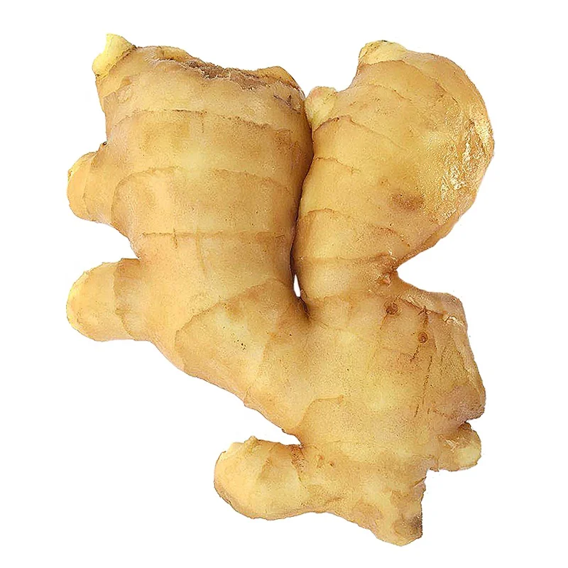 New Crop Ginger To Miami Export Price 1kg China Mature Fresh Ginger For Sale