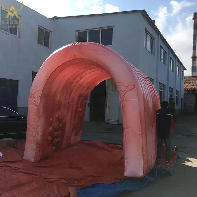 Гигантский надувной колоний индивидуальный органный туннель
