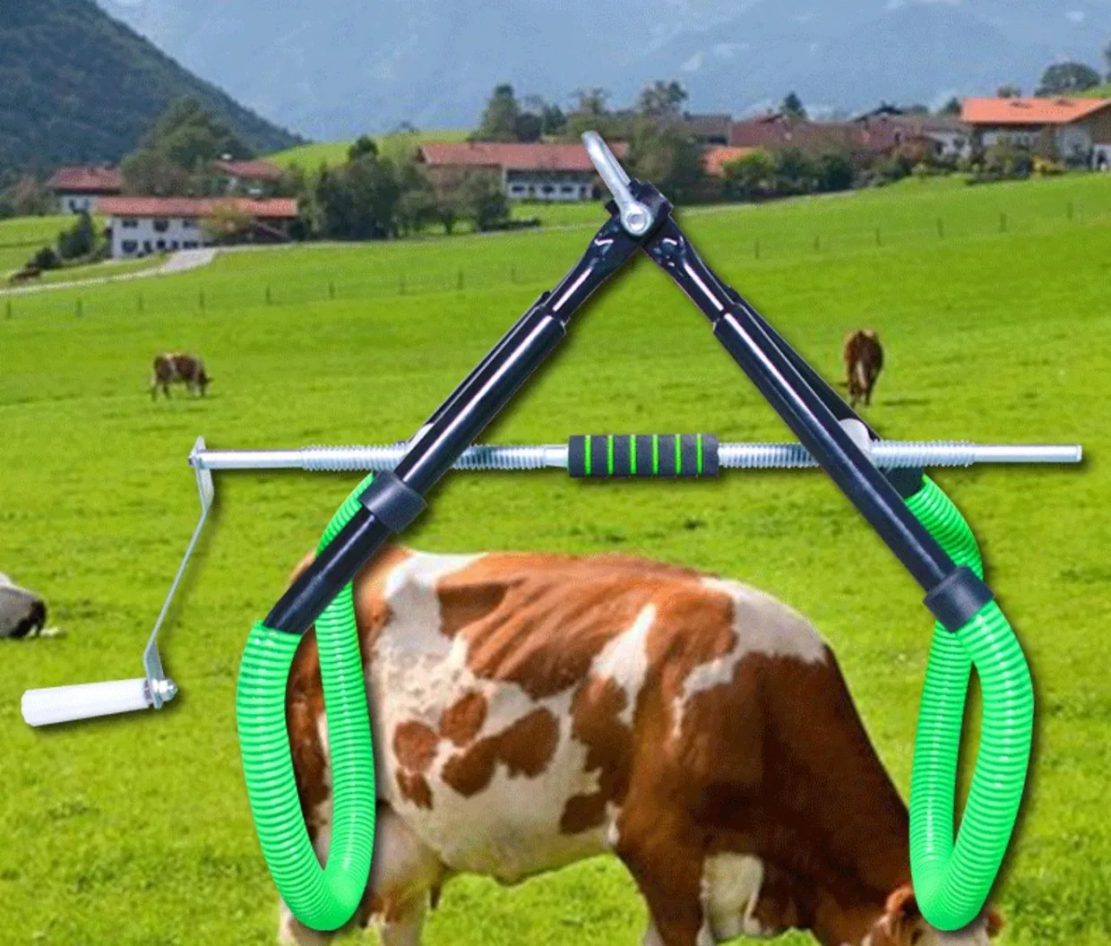 Farm Equipment Cattle High Quality Cow Lifting with Hip Clamp cow stand help