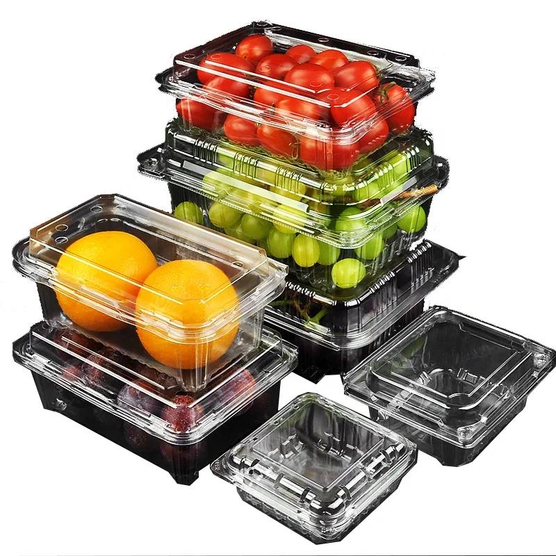 
Transparent Plastic cake Disposable Food Packaging blister box Sushi Container 