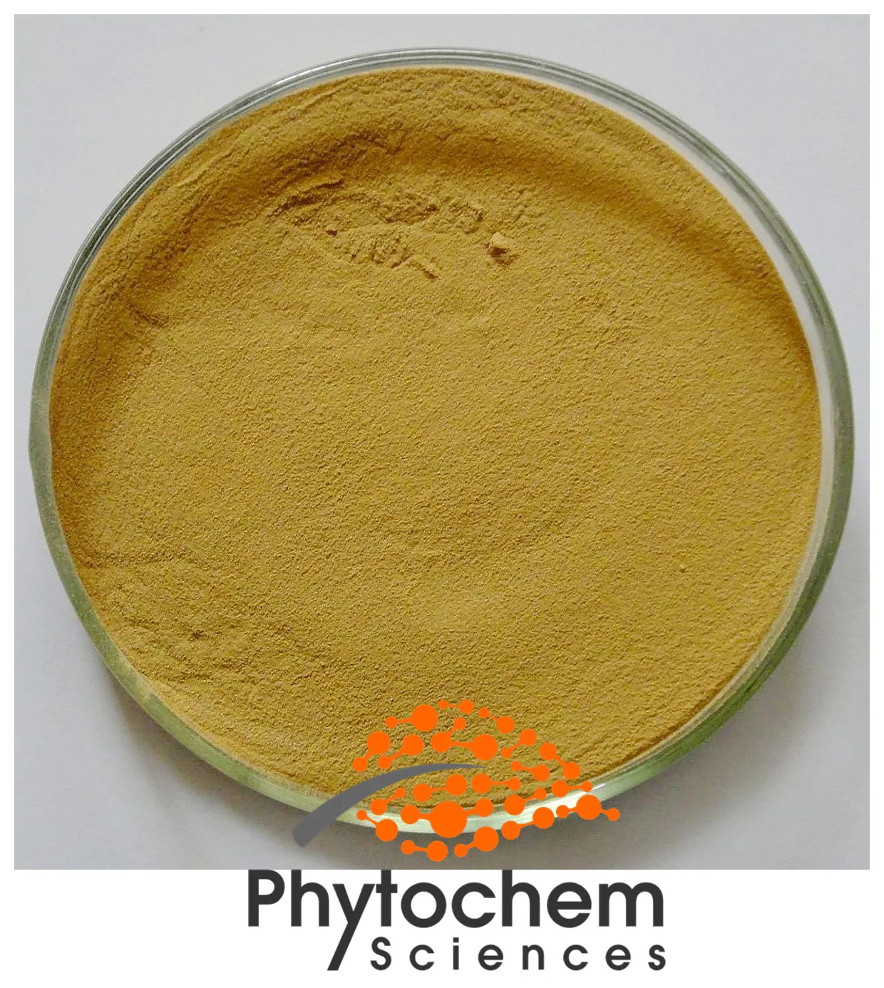 
Pure Natural Best Price Agaricus Blazei murrill powder Agaricus Blazei mushroom extract 