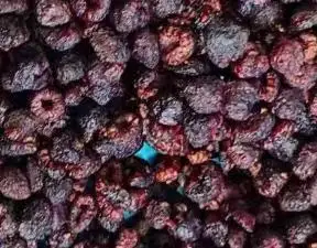 Wholesale Price Health Food  Dried Raspberry