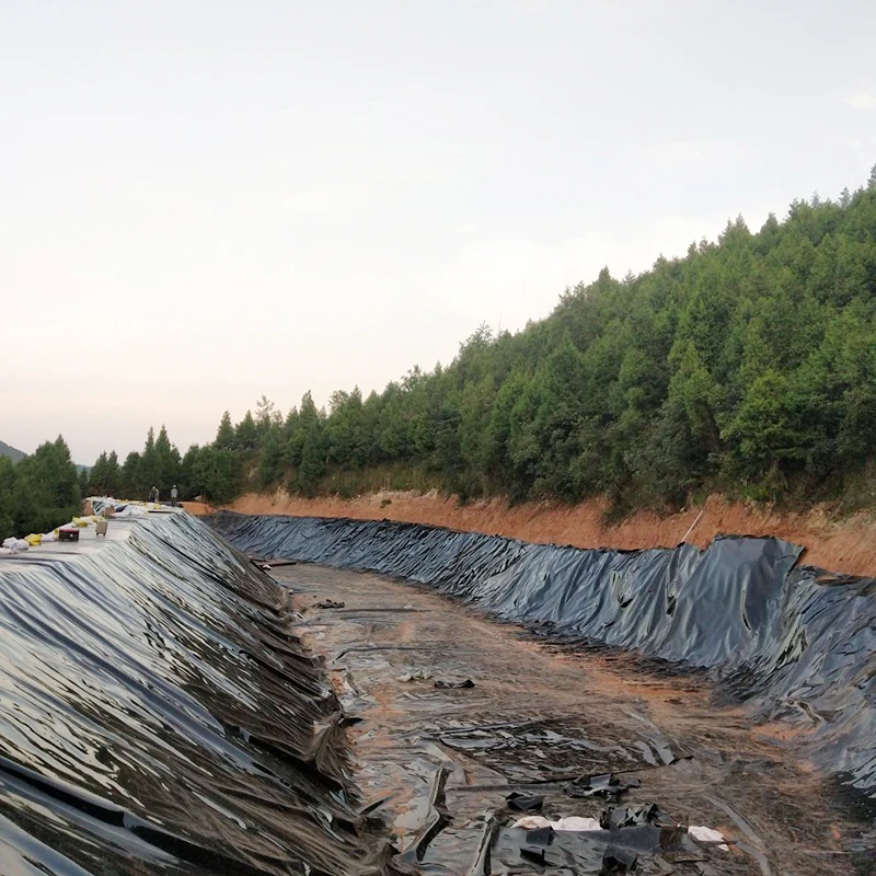 ПЭНД LDPE Креветочный рыбный пруд 0 5 мм 75 1 2 3 геомембранный плотинный вкладыш цена