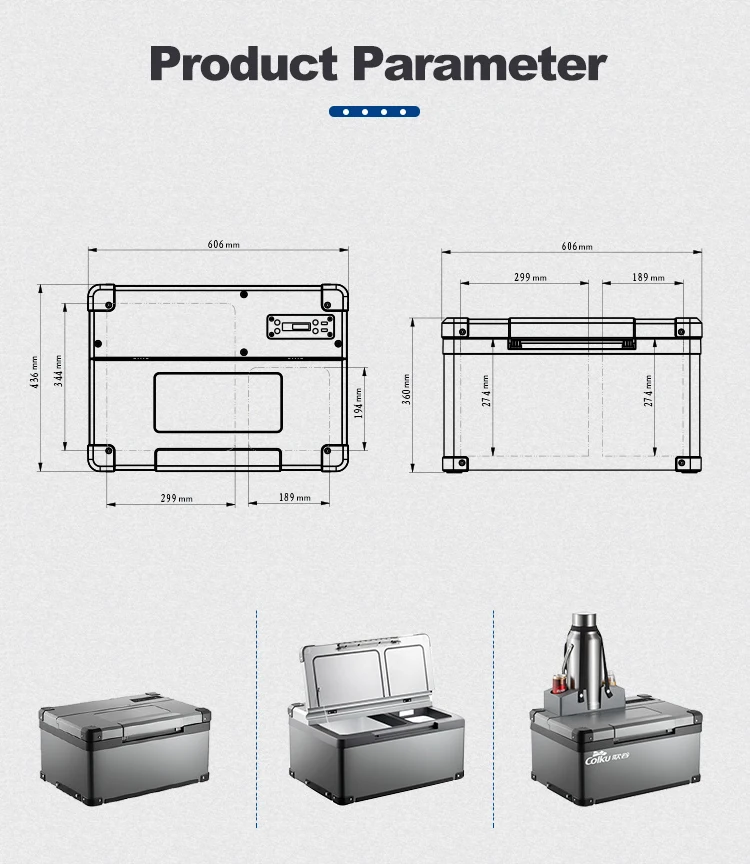 truck fridge Europe brand semi heavy duty truck Dc 12V 24V capacity 30 40 liters mini refrigerator