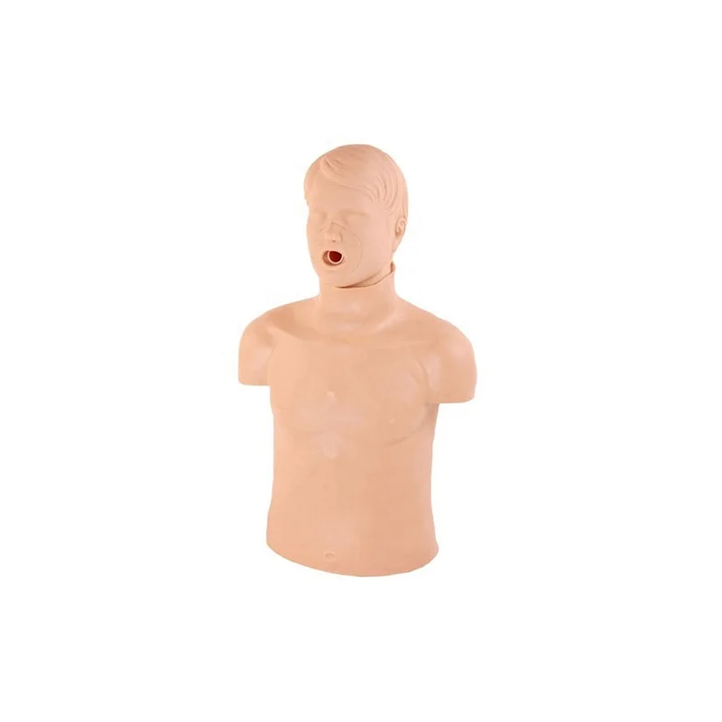 DARHMMY Adult Obstruction Half Body CPR Training Manikin Dummy External Chest Compression Medical Mannequin