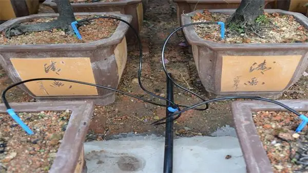 Drip Irrigation System Arrow Dripper irrigation supply agricultural system arrow dripper for pot plant